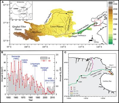 End-member characteristics of sediment grain size in modern Yellow River delta sediments and its environmental significance